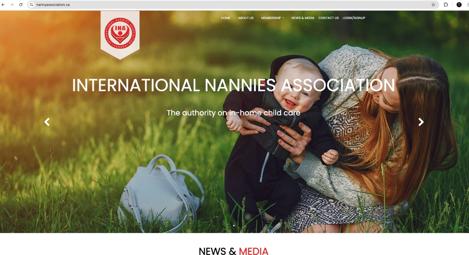 Nanny Association Screenshot