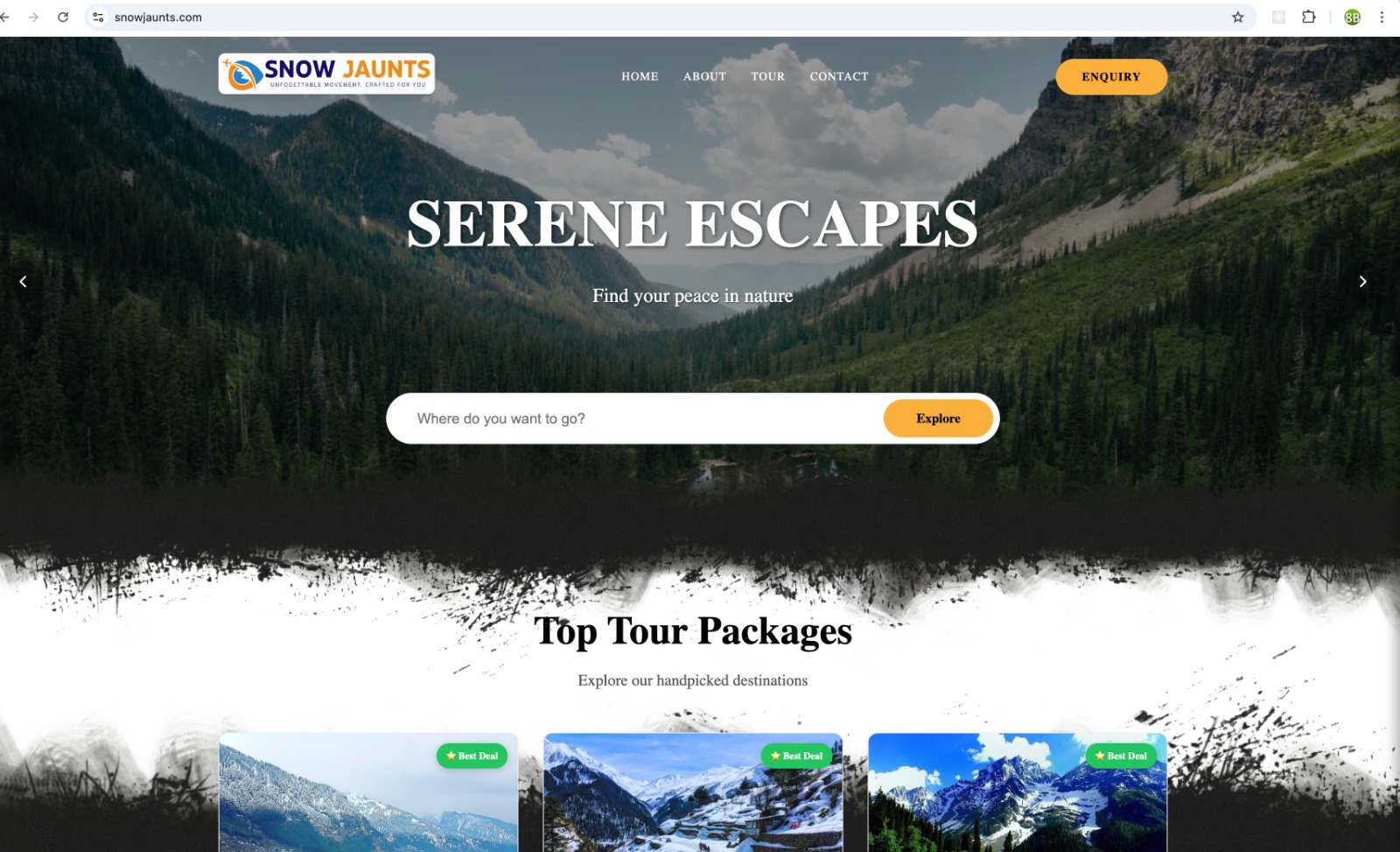 Tours Package Booking Screenshot
